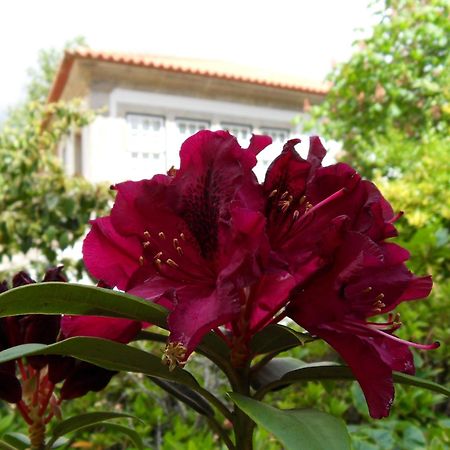 Quinta Do Bento Novo - Casa De Campo - Turismo Rural Виана-ду-Каштелу Экстерьер фото