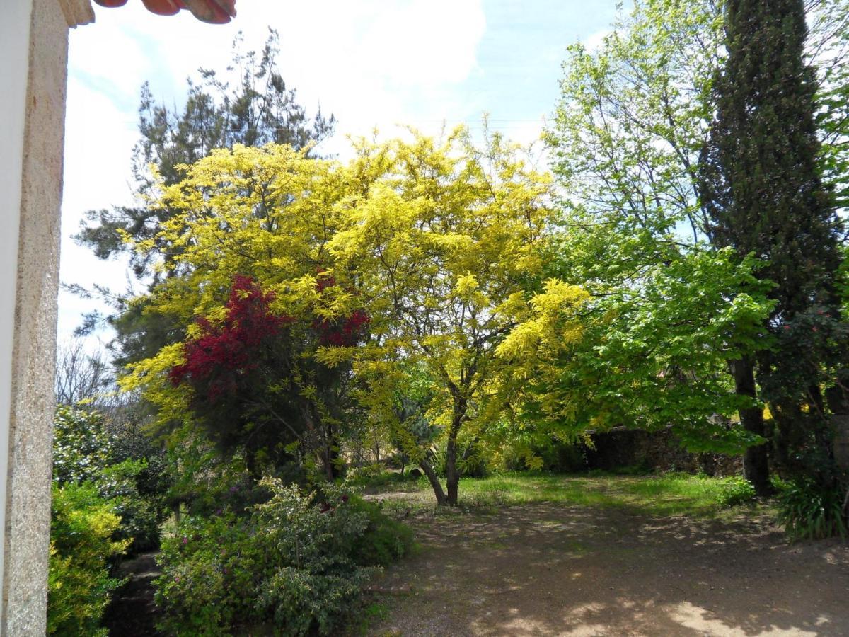 Quinta Do Bento Novo - Casa De Campo - Turismo Rural Виана-ду-Каштелу Экстерьер фото