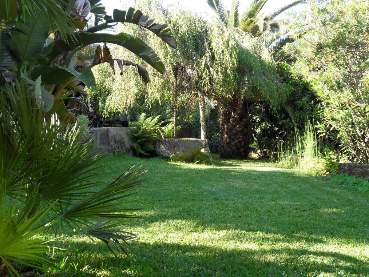 Quinta Do Bento Novo - Casa De Campo - Turismo Rural Виана-ду-Каштелу Экстерьер фото