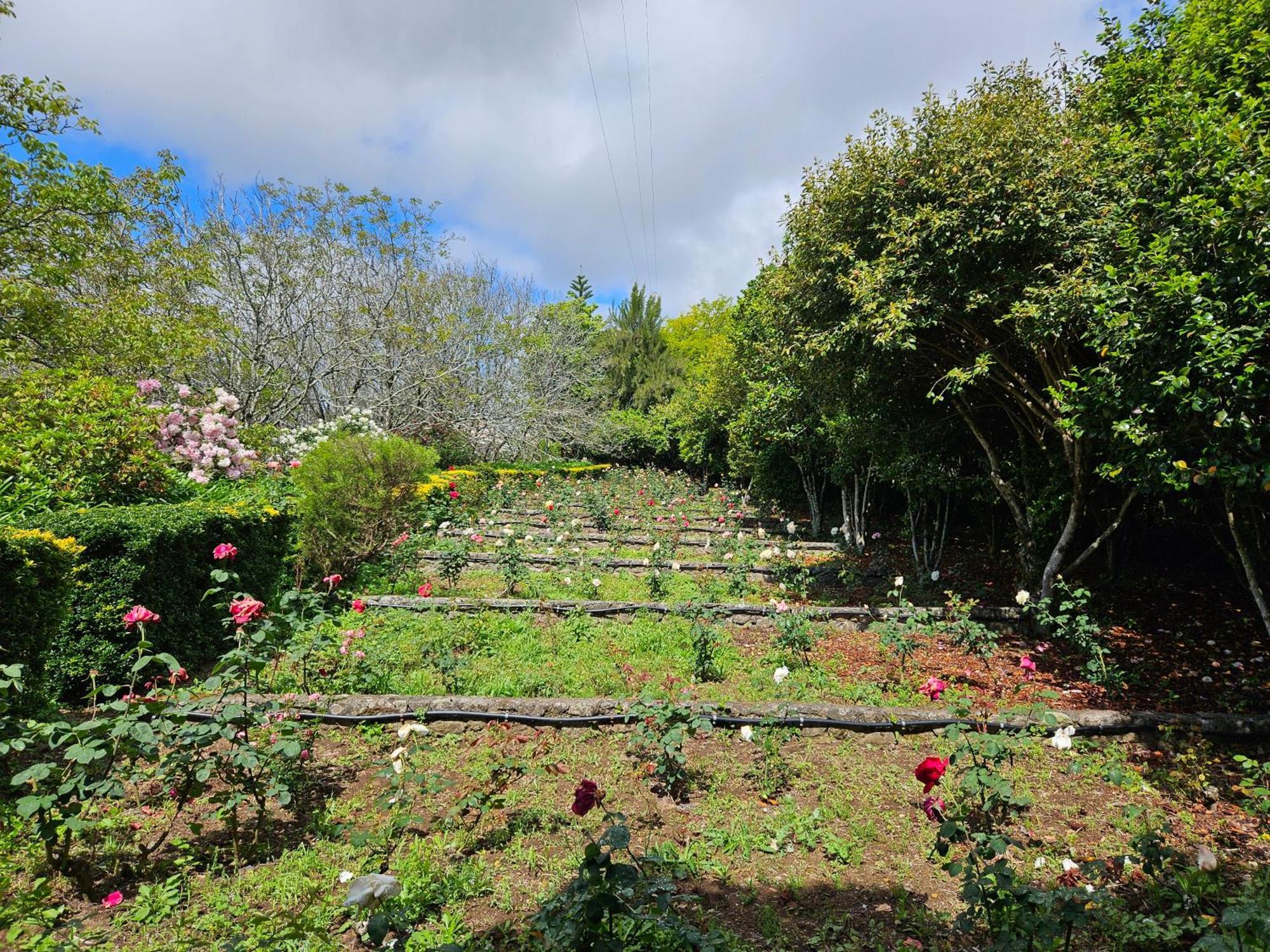 Quinta Do Bento Novo - Casa De Campo - Turismo Rural Виана-ду-Каштелу Экстерьер фото